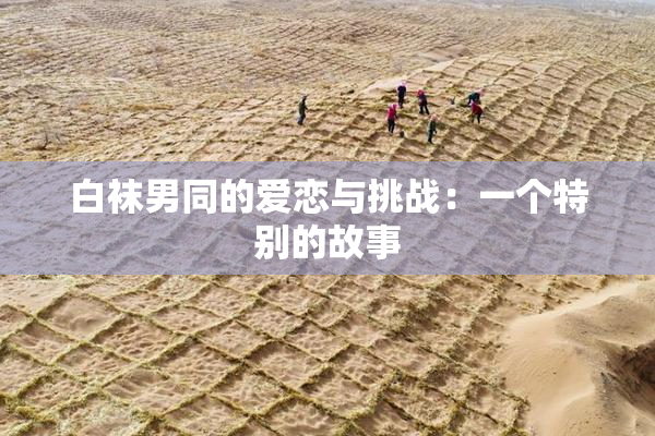白袜男同的爱恋与挑战：一个特别的故事