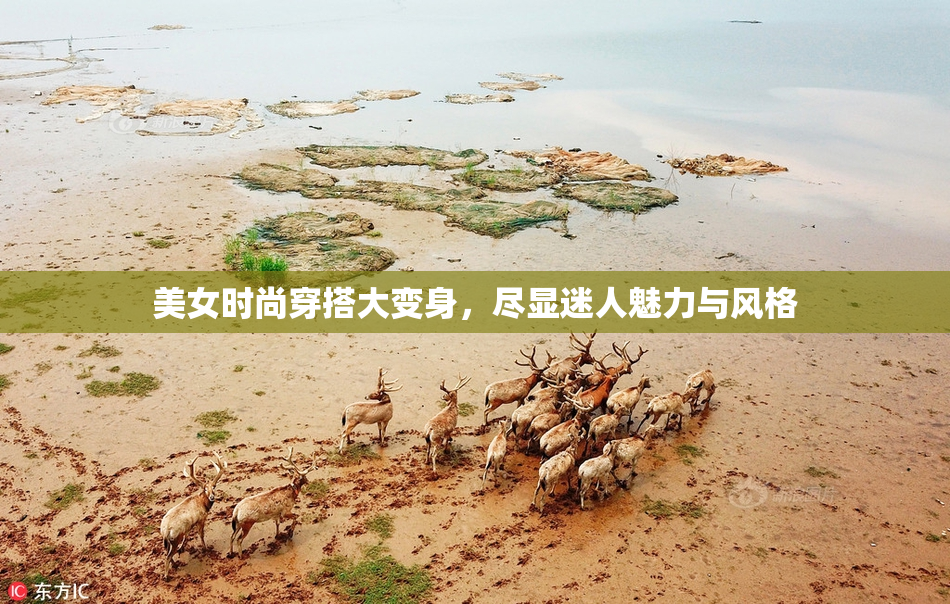 美女时尚穿搭大变身，尽显迷人魅力与风格