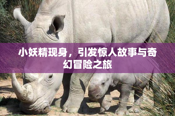小妖精现身，引发惊人故事与奇幻冒险之旅