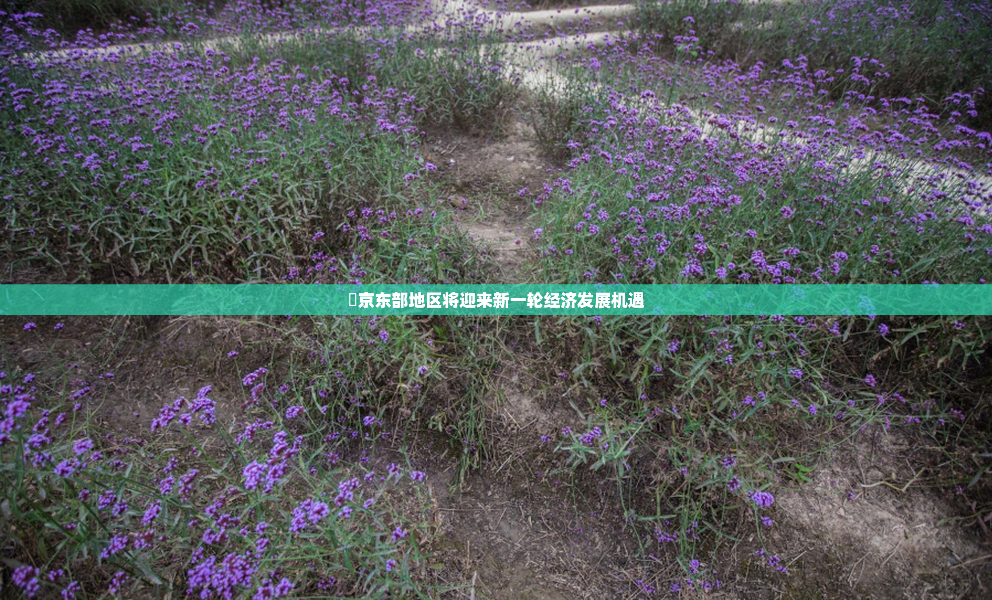 東京东部地区将迎来新一轮经济发展机遇