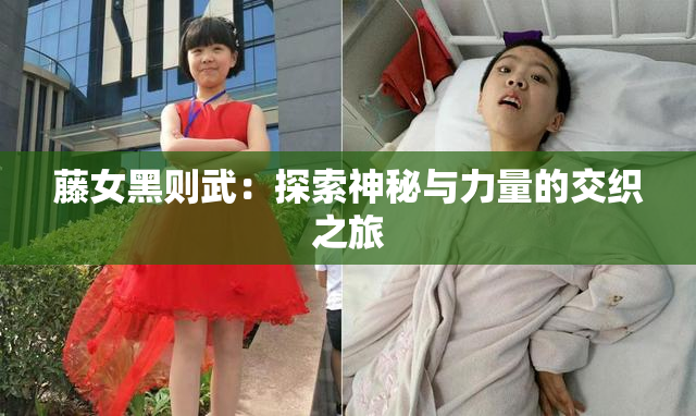 藤女黑则武：探索神秘与力量的交织之旅