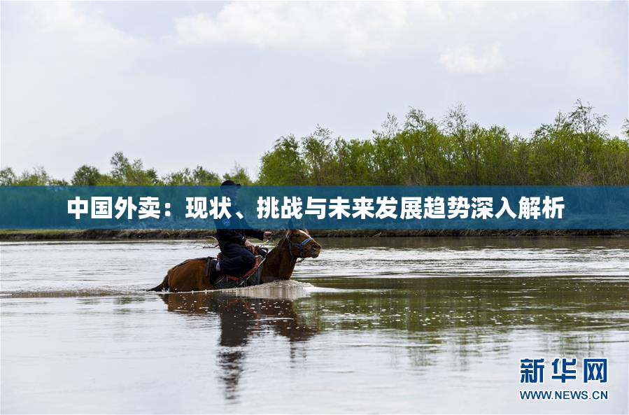 中国外卖：现状、挑战与未来发展趋势深入解析