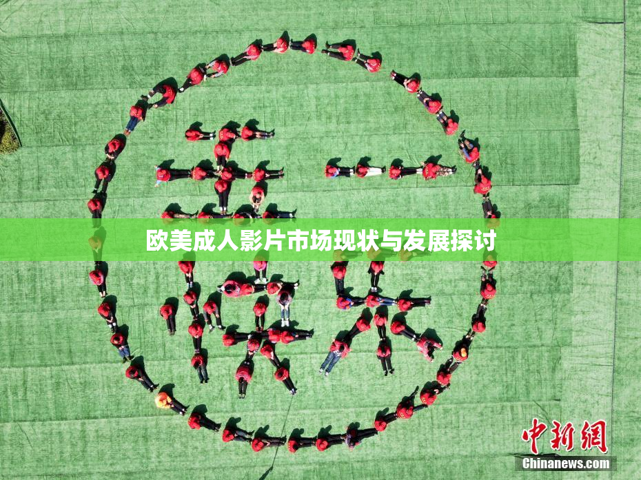 欧美成人影片市场现状与发展探讨