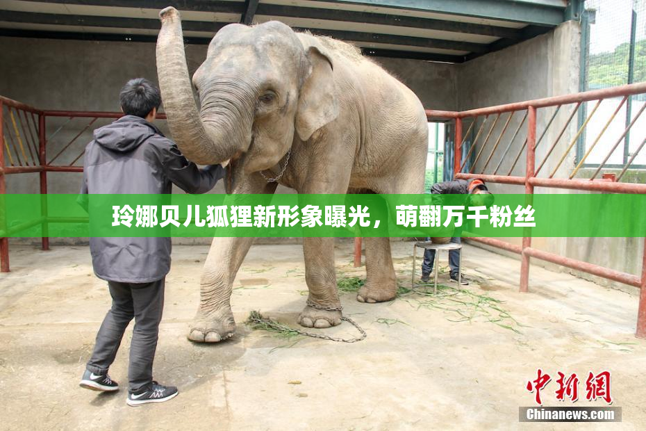 玲娜贝儿狐狸新形象曝光，萌翻万千粉丝