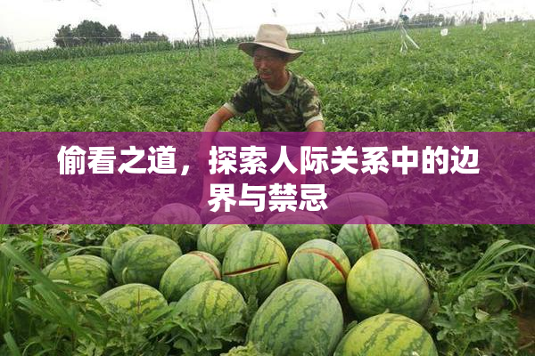 偷看之道，探索人际关系中的边界与禁忌