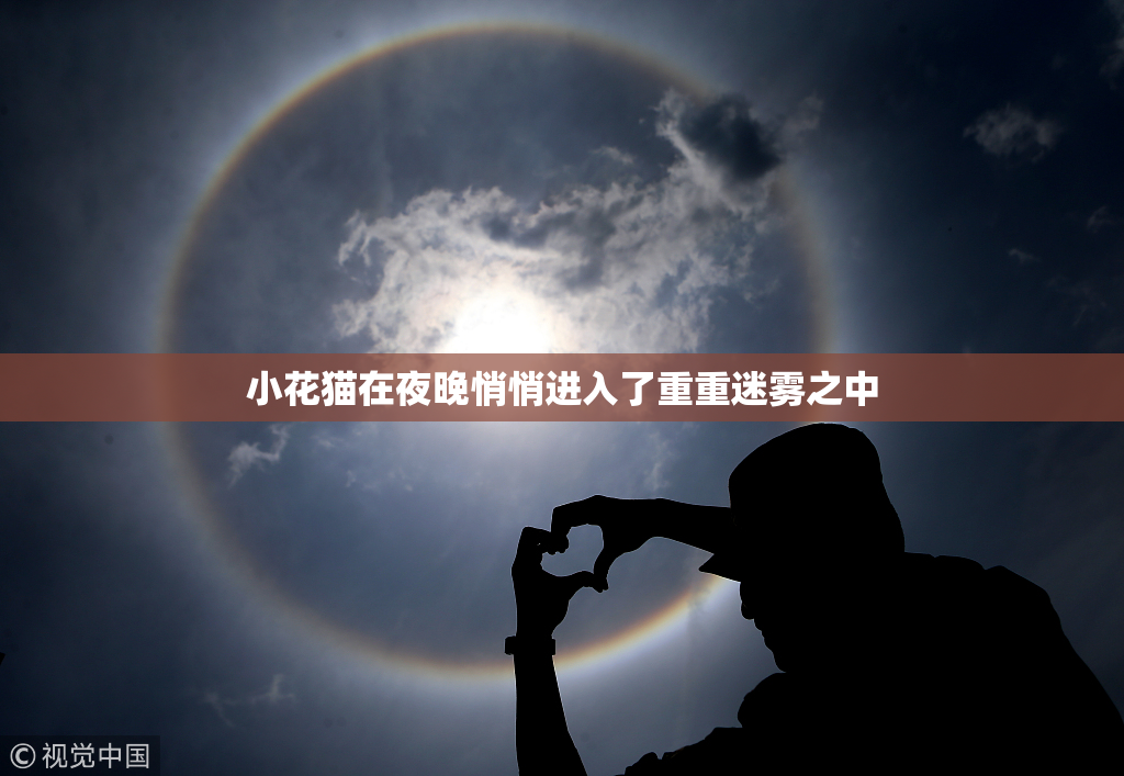 小花猫在夜晚悄悄进入了重重迷雾之中