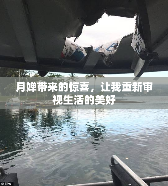 月婵带来的惊喜，让我重新审视生活的美好