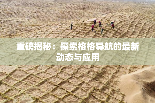 重磅揭秘：探索格格导航的最新动态与应用