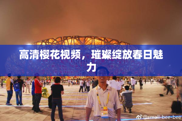 高清樱花视频，璀璨绽放春日魅力