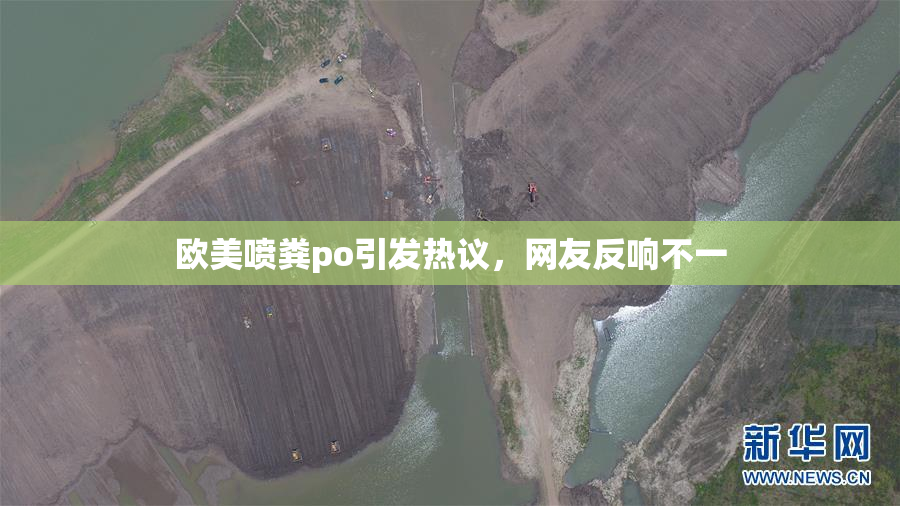 欧美喷粪po引发热议，网友反响不一