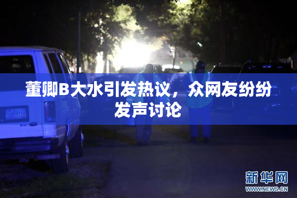 董卿B大水引发热议，众网友纷纷发声讨论