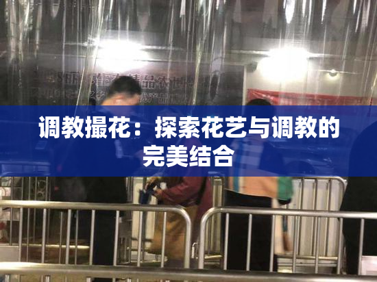 调教撮花：探索花艺与调教的完美结合