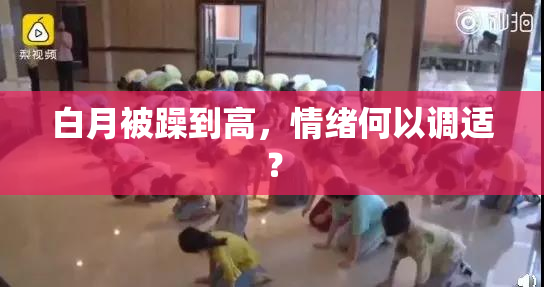 白月被躁到高，情绪何以调适？