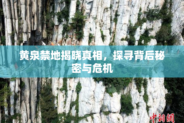 黄泉禁地揭晓真相，探寻背后秘密与危机