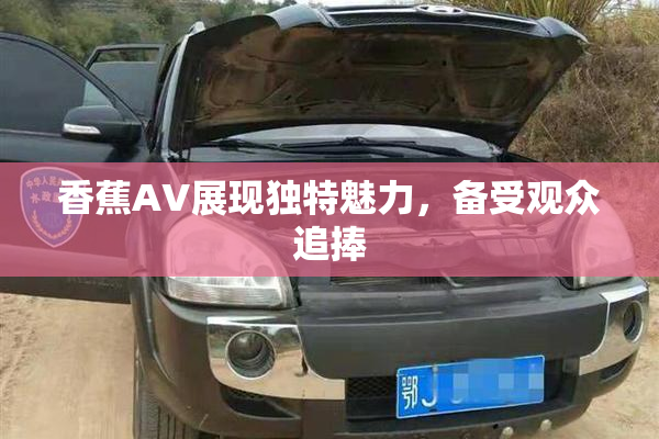 香蕉AV展现独特魅力，备受观众追捧