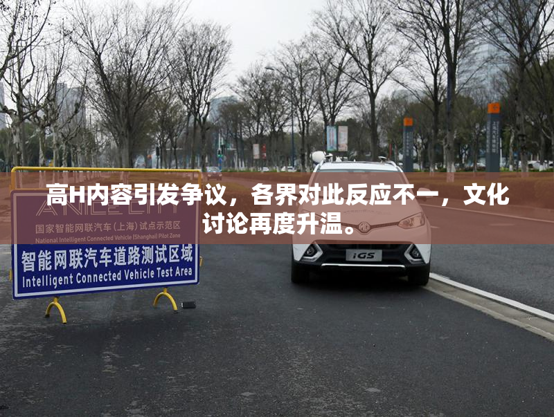 高H内容引发争议，各界对此反应不一，文化讨论再度升温。