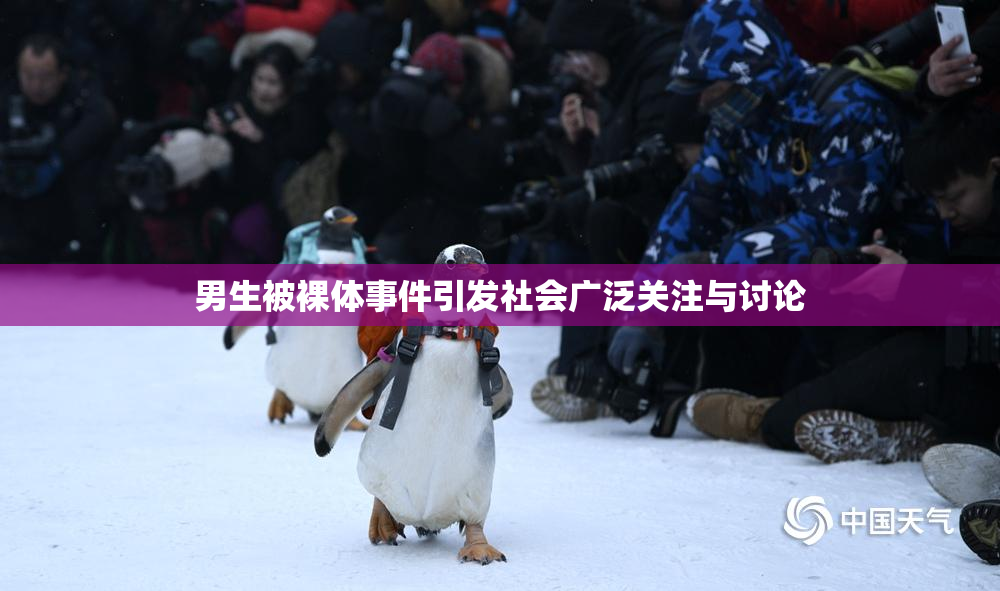 男生被裸体事件引发社会广泛关注与讨论