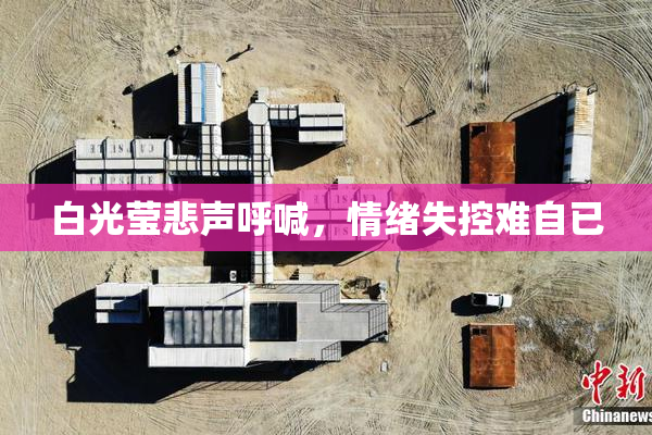 白光莹悲声呼喊，情绪失控难自已