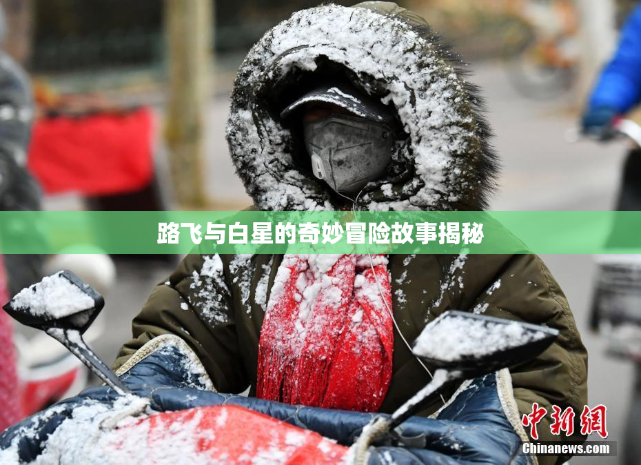 路飞与白星的奇妙冒险故事揭秘