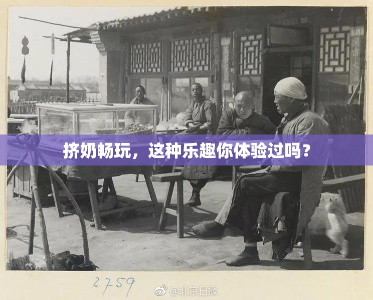 挤奶畅玩，这种乐趣你体验过吗？