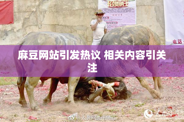 麻豆网站引发热议 相关内容引关注