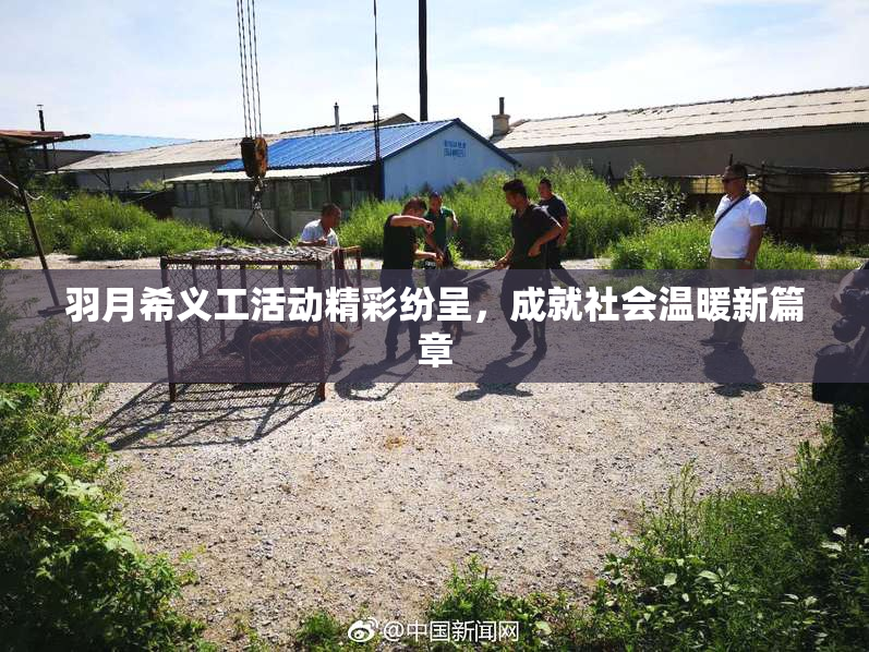 羽月希义工活动精彩纷呈，成就社会温暖新篇章