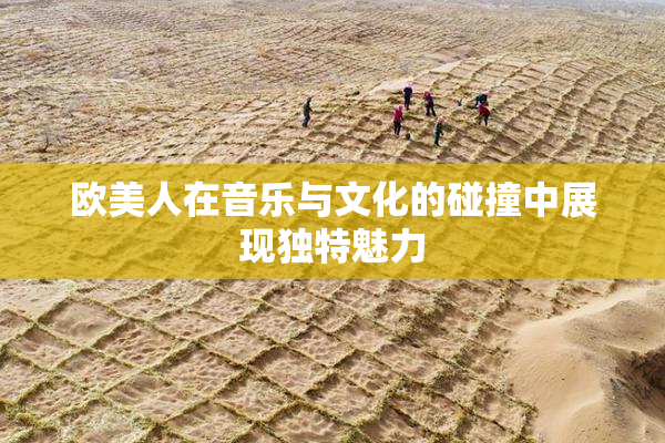 欧美人在音乐与文化的碰撞中展现独特魅力