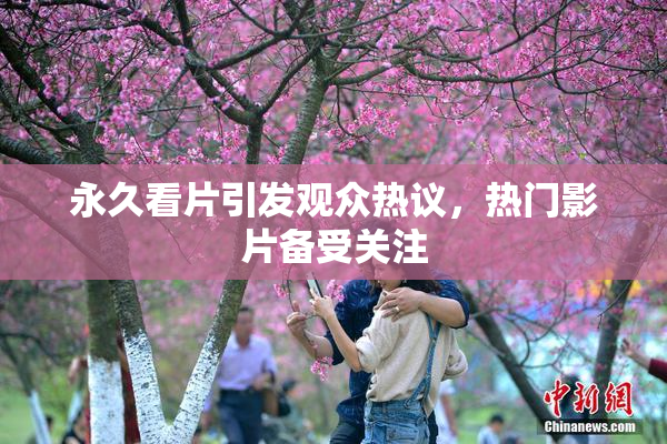 永久看片引发观众热议，热门影片备受关注