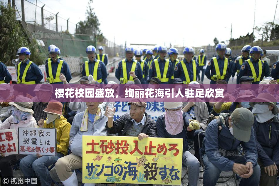 樱花校园盛放，绚丽花海引人驻足欣赏