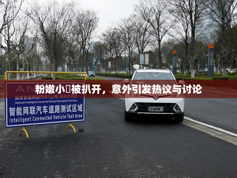 粉嫩小泬被扒开，意外引发热议与讨论