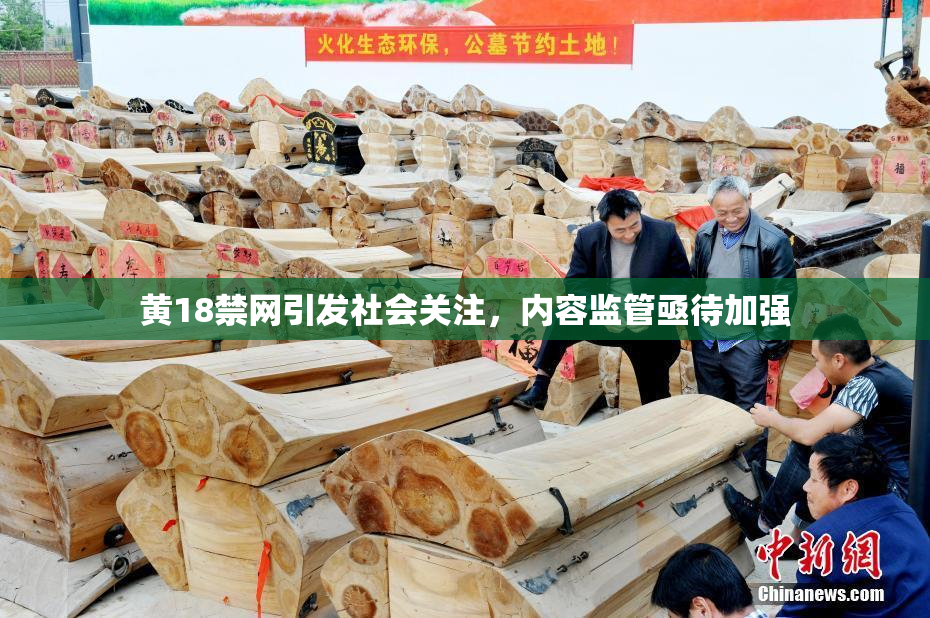 黄18禁网引发社会关注，内容监管亟待加强