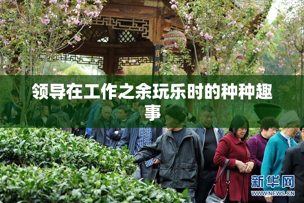 领导在工作之余玩乐时的种种趣事