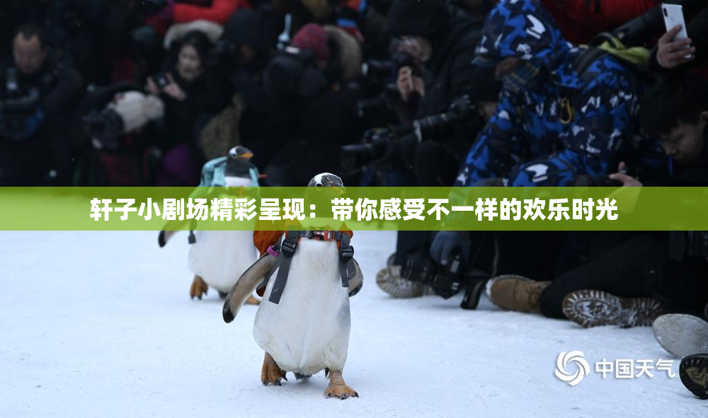 轩子小剧场精彩呈现：带你感受不一样的欢乐时光