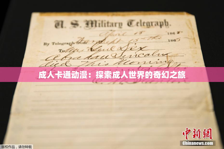 成人卡通动漫：探索成人世界的奇幻之旅