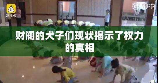 财阀的犬子们现状揭示了权力的真相