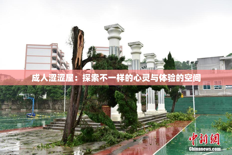 成人涩涩屋：探索不一样的心灵与体验的空间