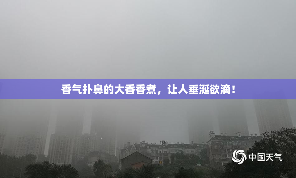 香气扑鼻的大香香煮，让人垂涎欲滴！