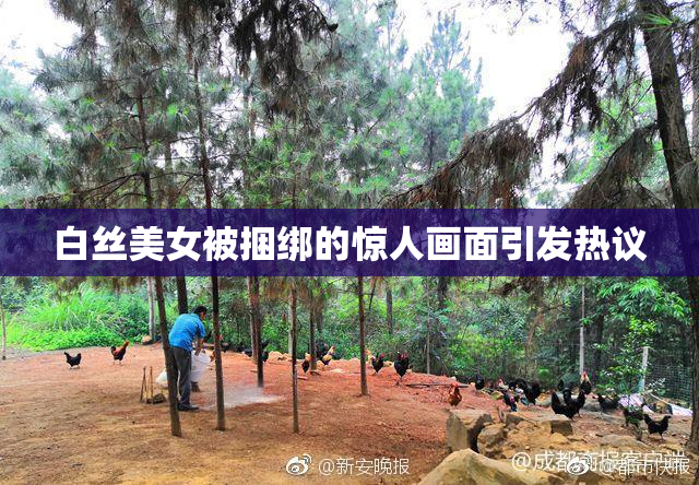 白丝美女被捆绑的惊人画面引发热议