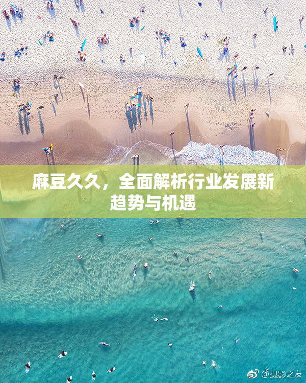 麻豆久久，全面解析行业发展新趋势与机遇
