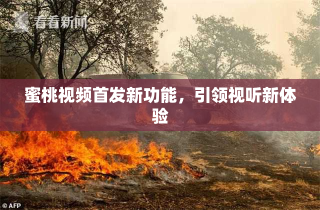 蜜桃视频首发新功能，引领视听新体验