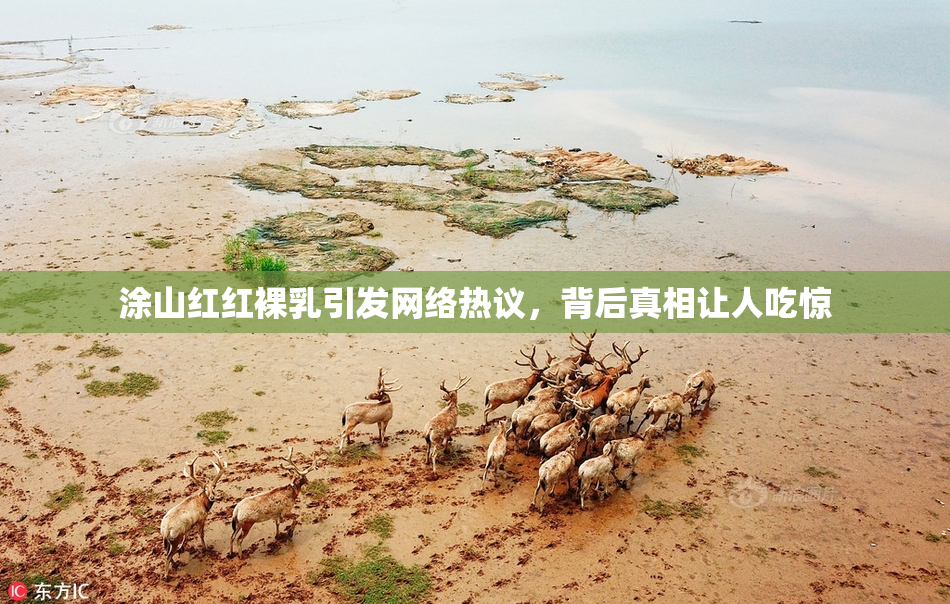 涂山红红裸乳引发网络热议，背后真相让人吃惊
