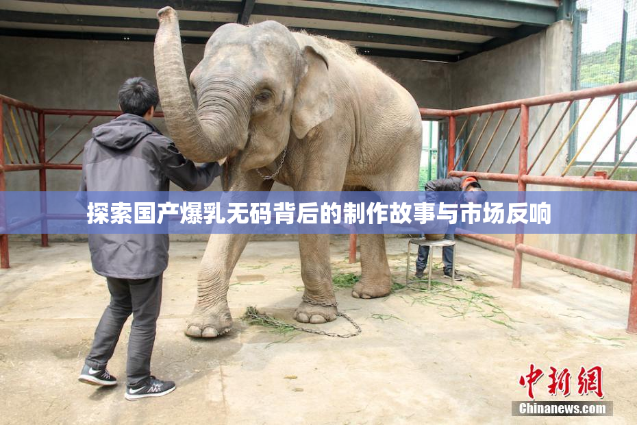 探索国产爆乳无码背后的制作故事与市场反响