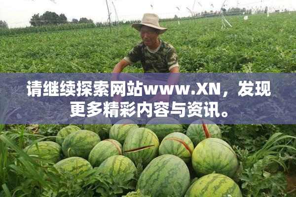 请继续探索网站www.XN，发现更多精彩内容与资讯。