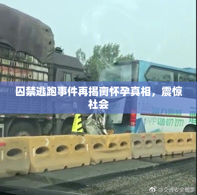 囚禁逃跑事件再揭脔怀孕真相，震惊社会