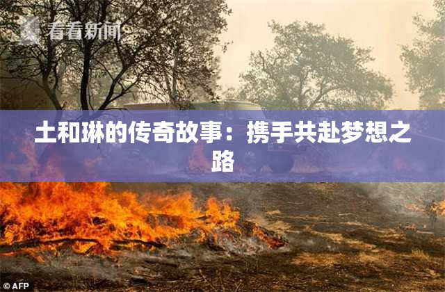 土和琳的传奇故事：携手共赴梦想之路