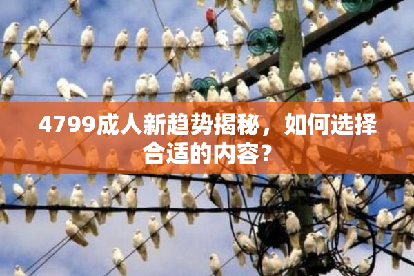4799成人新趋势揭秘，如何选择合适的内容？