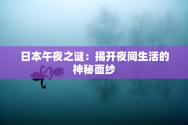 日本午夜之谜：揭开夜间生活的神秘面纱
