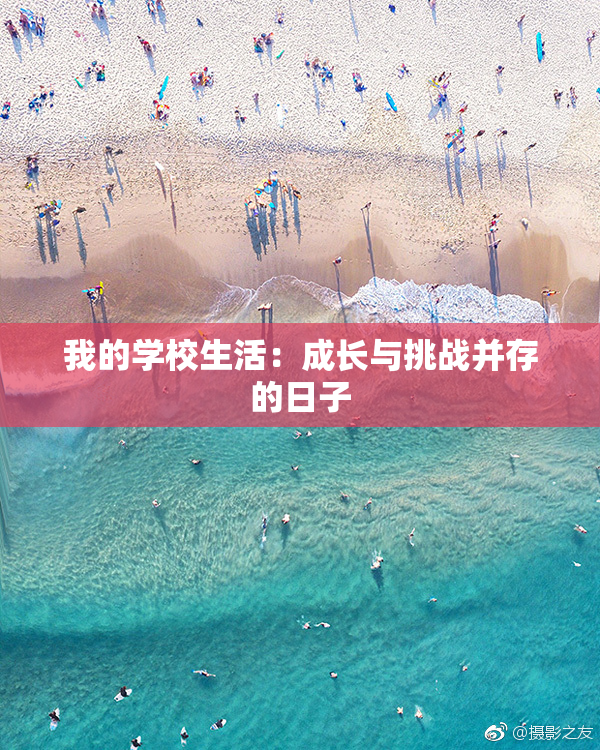 我的学校生活：成长与挑战并存的日子