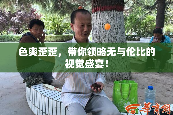 色爽歪歪，带你领略无与伦比的视觉盛宴！