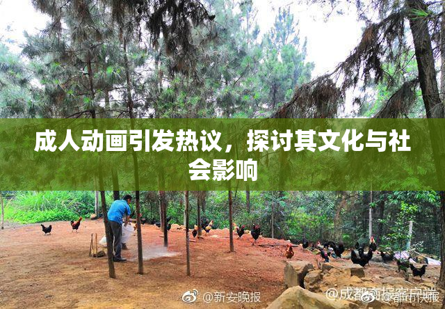 成人动画引发热议，探讨其文化与社会影响